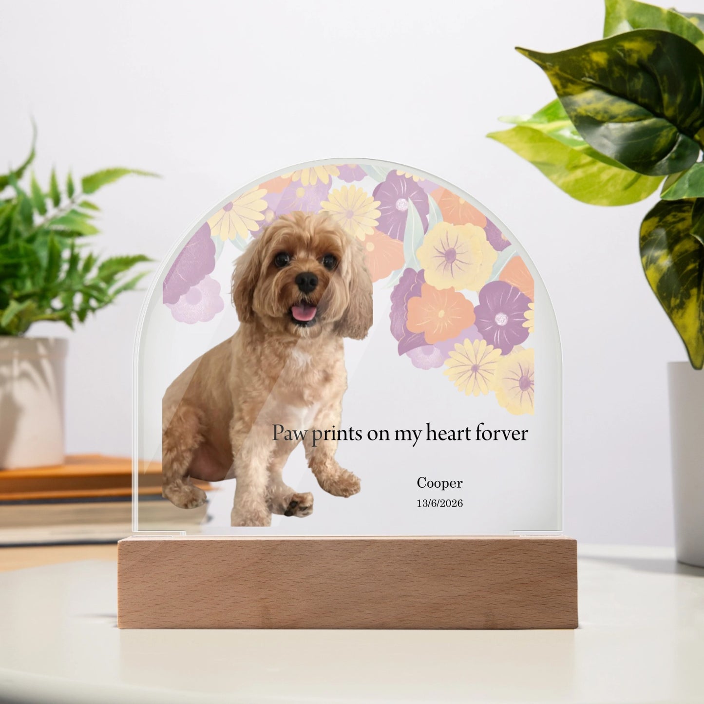 Acrylic Dome Plaque